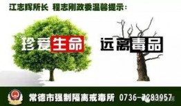 新闻爆料宣传语大全集,捕捉热点，传播力量