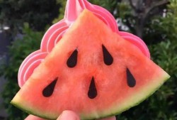 网红吃瓜头像插画,揭秘网络红人的趣味生活瞬间