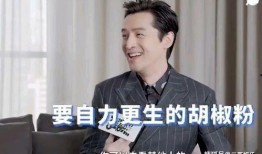 胡歌早期采访视频爆料,青春岁月里的成长与蜕变