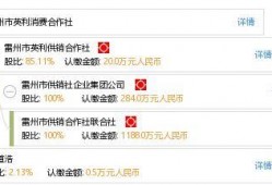 雷州英利最新网友爆料,揭秘网友热议的神秘事件！