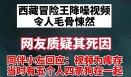 网友爆料王相军视频播放,真相究竟如何？