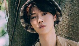 圈内爆料鹿晗成毅,跨界合作背后的神秘火花