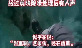 爆料阆中猛哥事件视频,视频揭露惊人真相