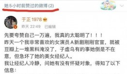 爆料圈内秘事完整版,爆料圈内秘事完整版深度剖析