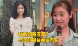 圈内人爆料董洁视频全集,圈内人揭秘不为人知的真相