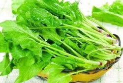 菠菜最新爆料,揭秘娱乐圈惊人内幕