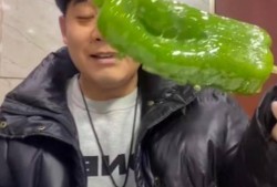 亳州网红吃瓜事件视频,一场网络热议的瓜田奇遇