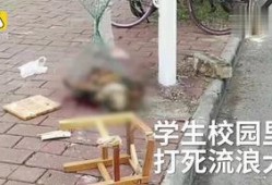 打狗棍56集在线观看,揭秘剧情高潮，精彩瞬间不容错过