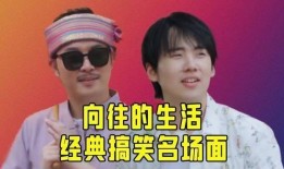 生活今日爆料图片表情包,表情包里的趣味瞬间