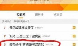 卓伟爆料真实原则视频,揭秘真实事件背后的真相