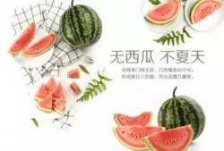 潍坊爆料视频吃瓜,揭秘吃瓜群众的狂欢现场