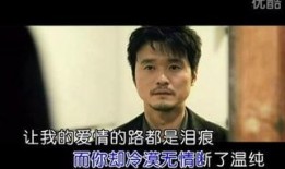 血鹰电视剧在线观看,传奇英雄的复仇之路