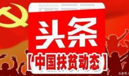 仙桥村今日新闻爆料电话,揭秘村中新鲜事