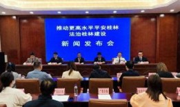 桂林新闻事故爆料论坛,聚焦城市安全热点事件