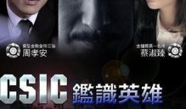 鉴识英雄在线观看,揭秘犯罪现场的智慧对决