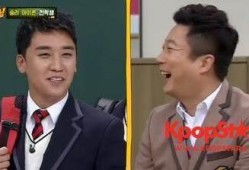 太阳哥哥爆料视频大全集,揭秘娱乐圈幕后真相