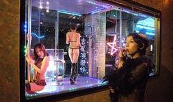 帮帮我爱神 在线观看,在线观看浪漫奇幻之旅