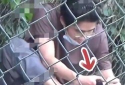 狗仔爆料的视频播放大全