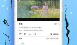 公关爆料视频素材库官网,海量视频素材库官网深度解析