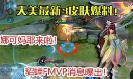 双刀皮肤爆料视频下载大全,尽览全新英雄风采