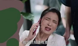 宁姐邻居爆料视频在线观看,揭秘事件真相，带你直击现场