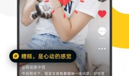 各种爆料小视频大全集免费观看,免费观看尽在指尖