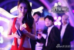 特工艾米拉在线观看,在线观看，揭秘神秘特工的惊险旅程