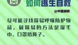地铁逃生相关爆料视频,揭秘真实事件背后的生存法则