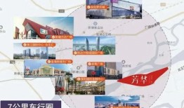 绿军粉丝爆料事件视频完整版,视频完整版揭露惊人内幕