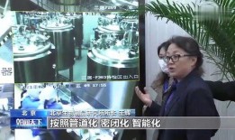 新冠爆料记者是谁啊视频,真相背后的勇敢揭露者